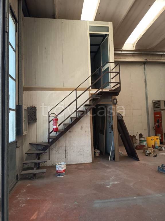 immagine annuncio 7 di 12