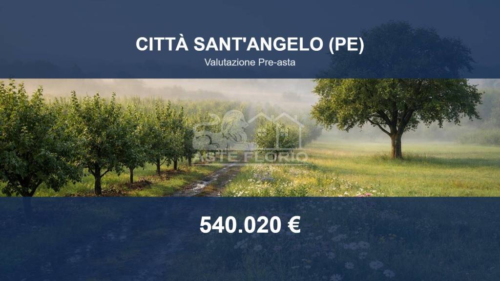 terreno in vendita a Città Sant'Angelo