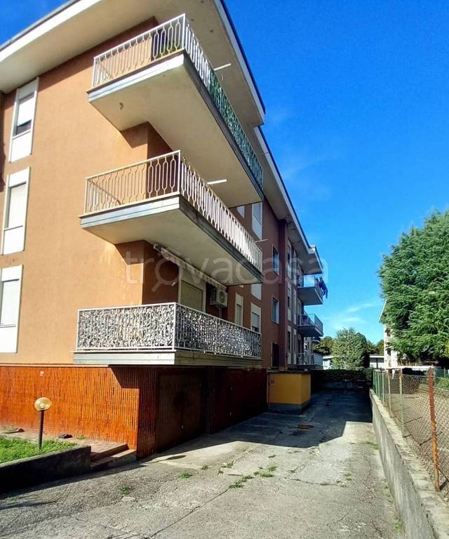 immagine annuncio 7 di 15