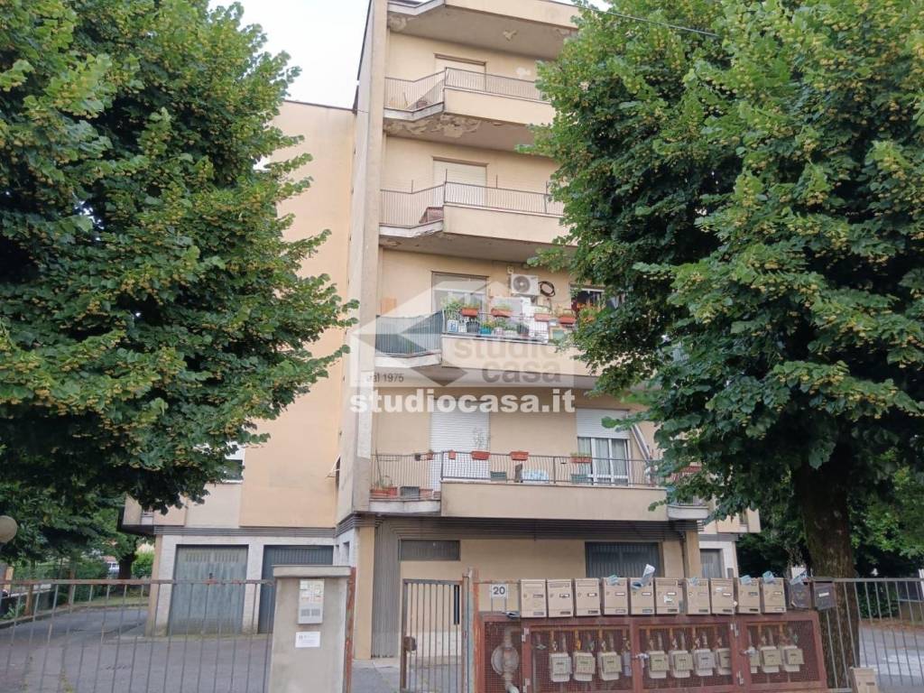 immagine annuncio 1 di 14