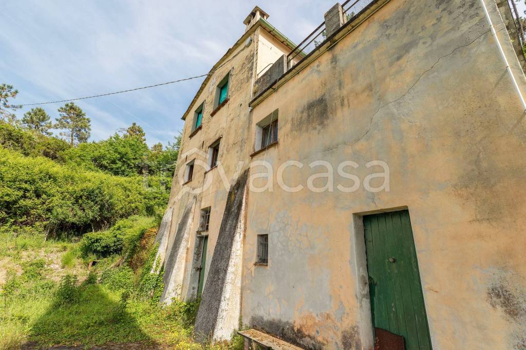 immagine annuncio 2 di 7