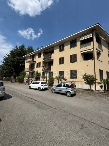 immagine annuncio 12 di 13