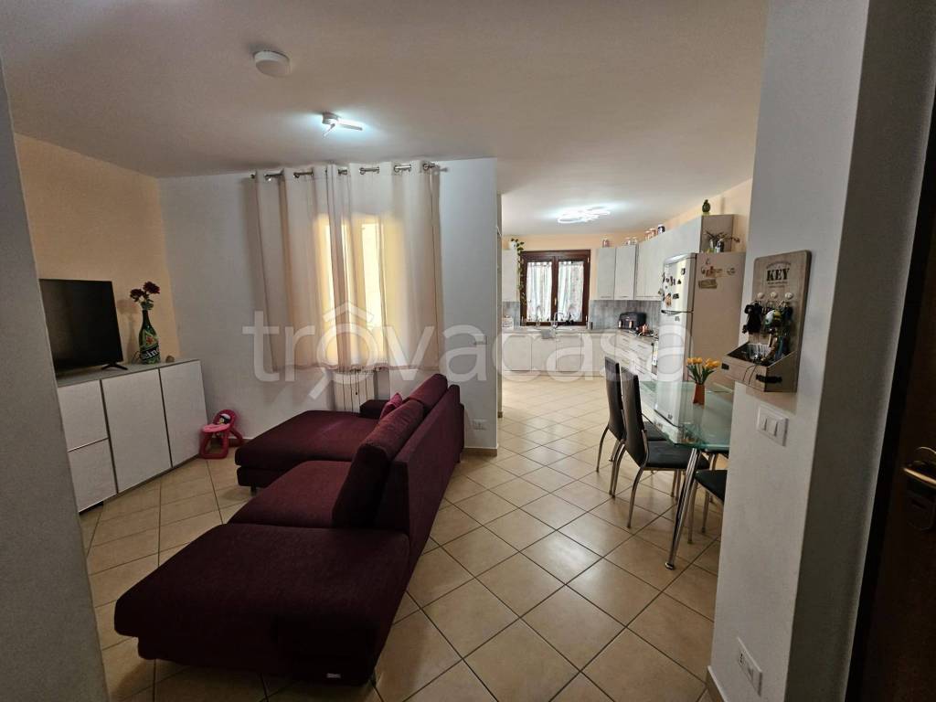 immagine annuncio 1 di 12