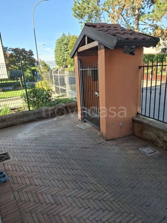 immagine annuncio 11 di 14