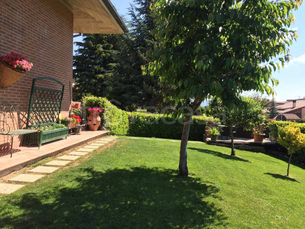 immagine annuncio 9 di 13