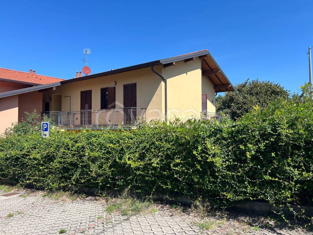 immagine annuncio 3 di 15