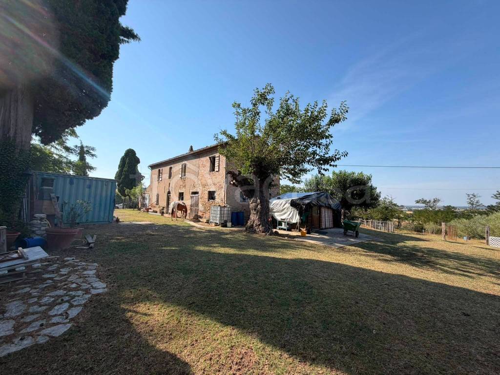 immagine annuncio 9 di 13