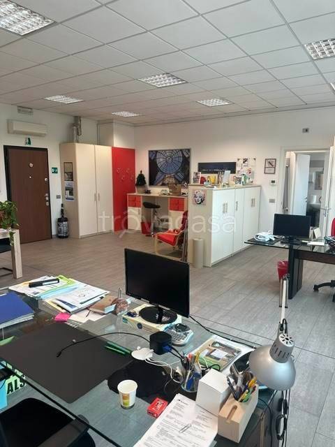 immagine annuncio 1 di 8
