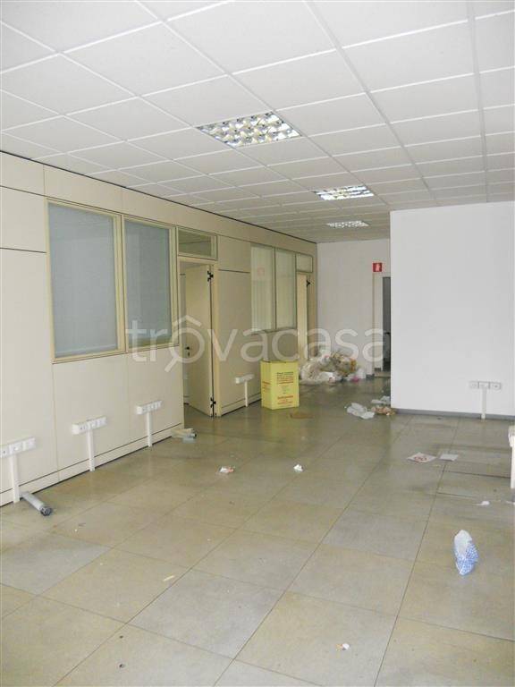 immagine annuncio 5 di 12