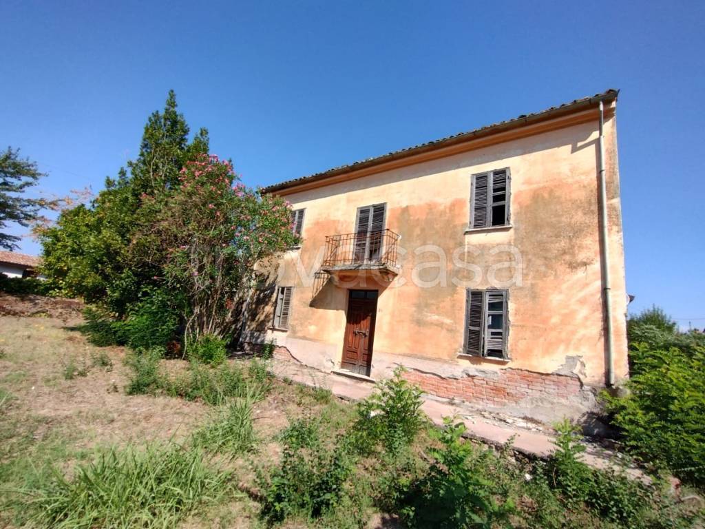 immagine annuncio 4 di 12