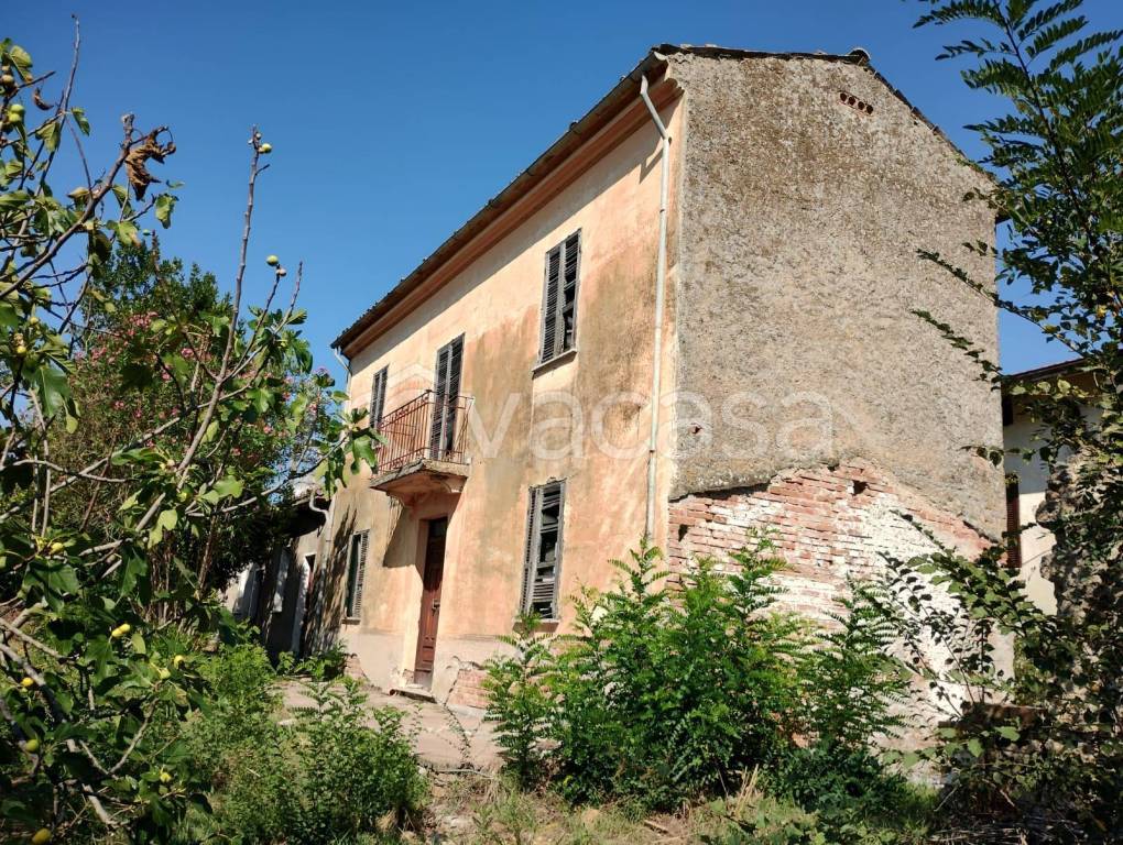 immagine annuncio 6 di 12