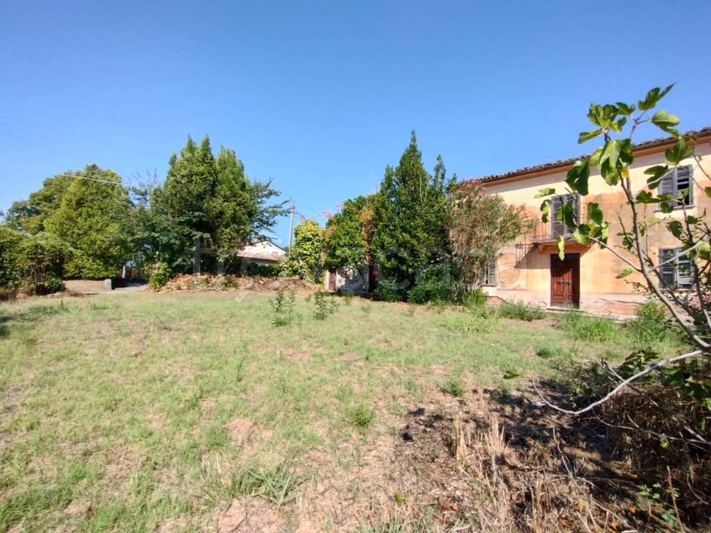 immagine annuncio 9 di 12
