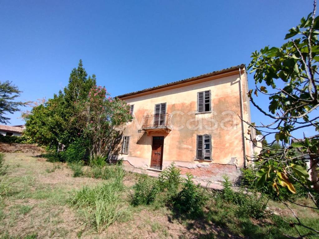 immagine annuncio 2 di 12