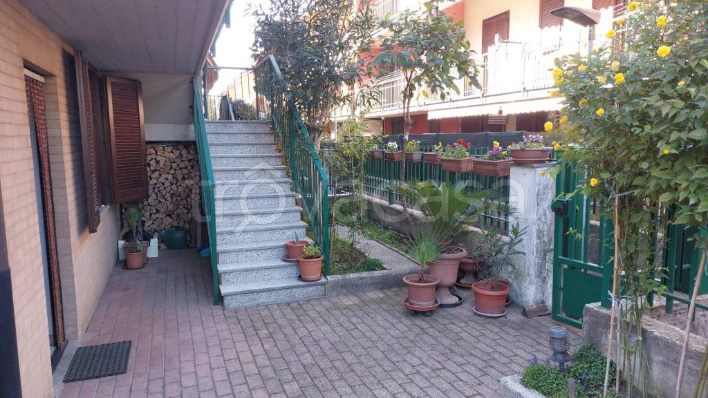 immagine annuncio 12 di 15