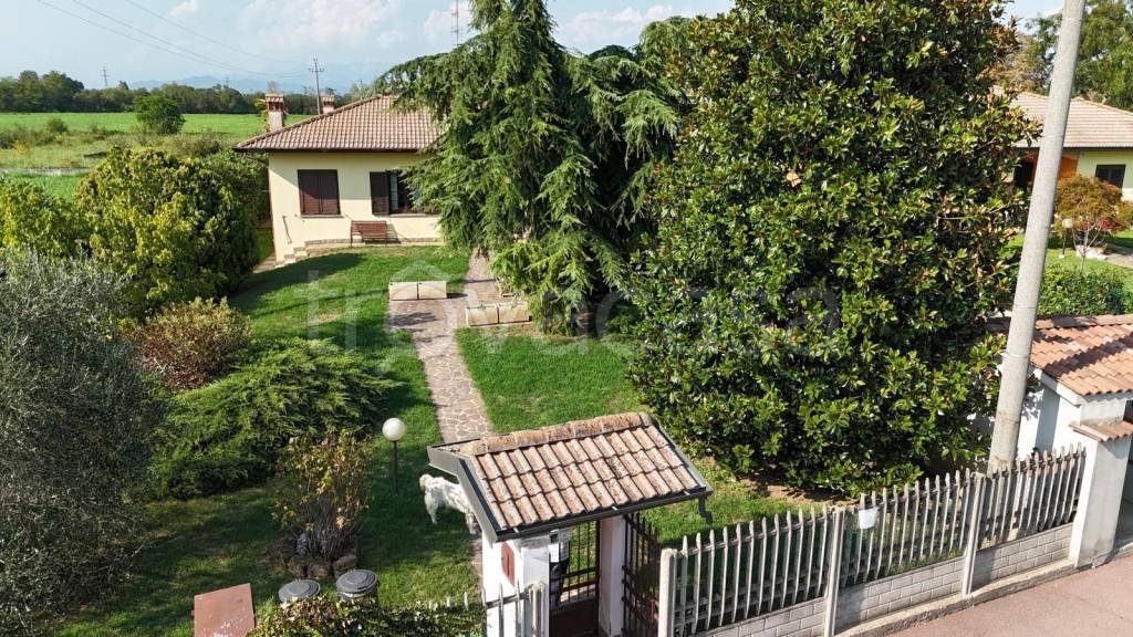 immagine annuncio 3 di 14