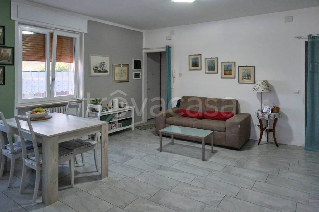 immagine annuncio 3 di 12