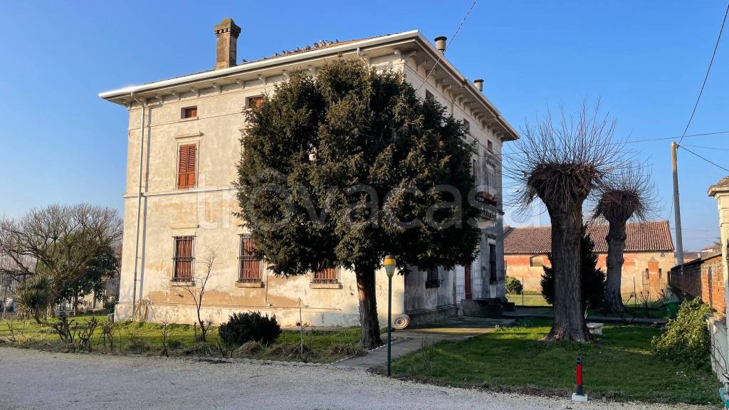 immagine annuncio 1 di 14