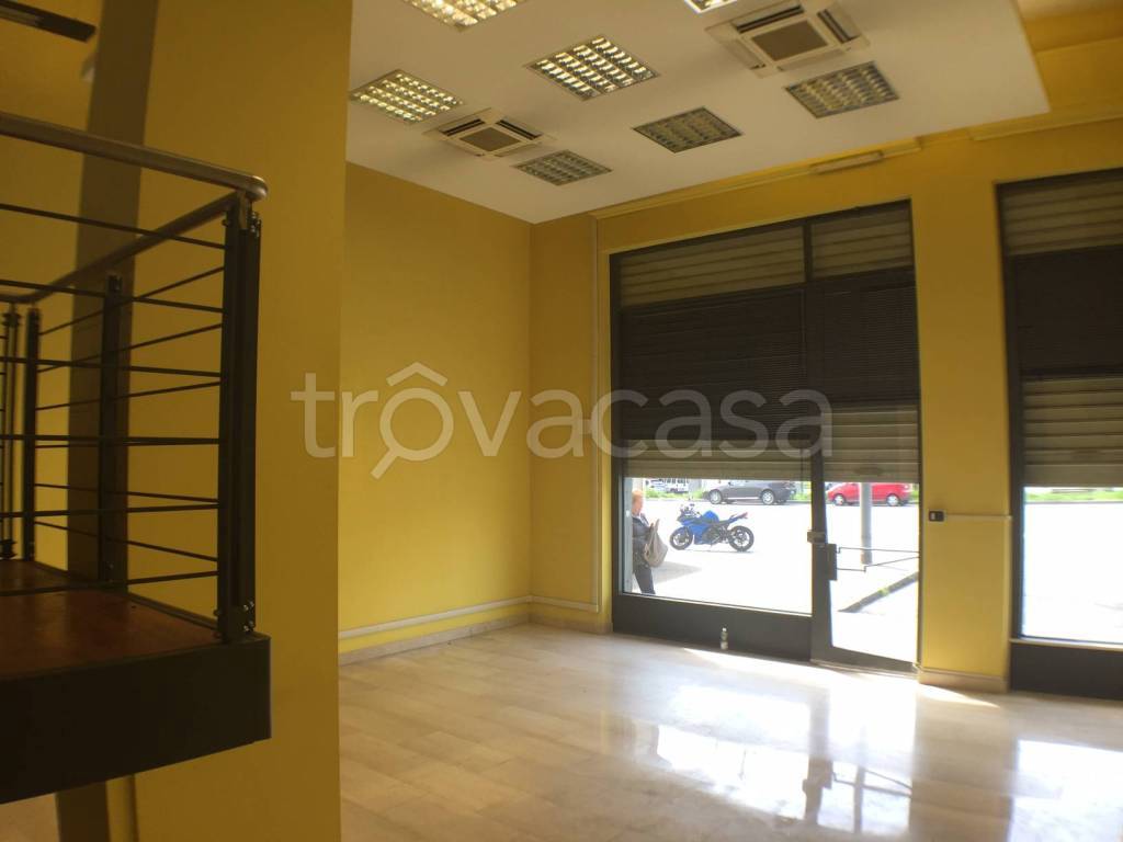 immagine annuncio 3 di 11