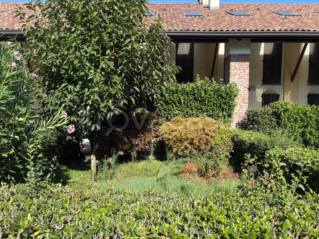 immagine annuncio 7 di 14