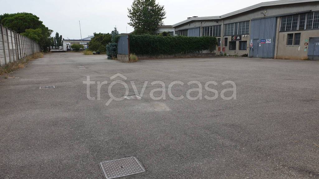 immagine annuncio 5 di 9