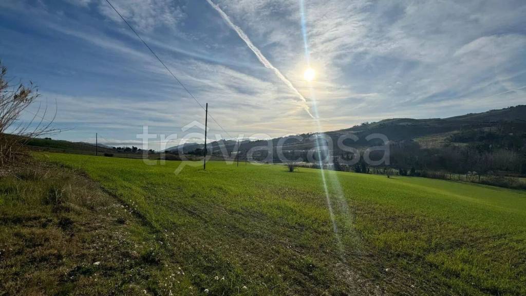 immagine annuncio 7 di 13