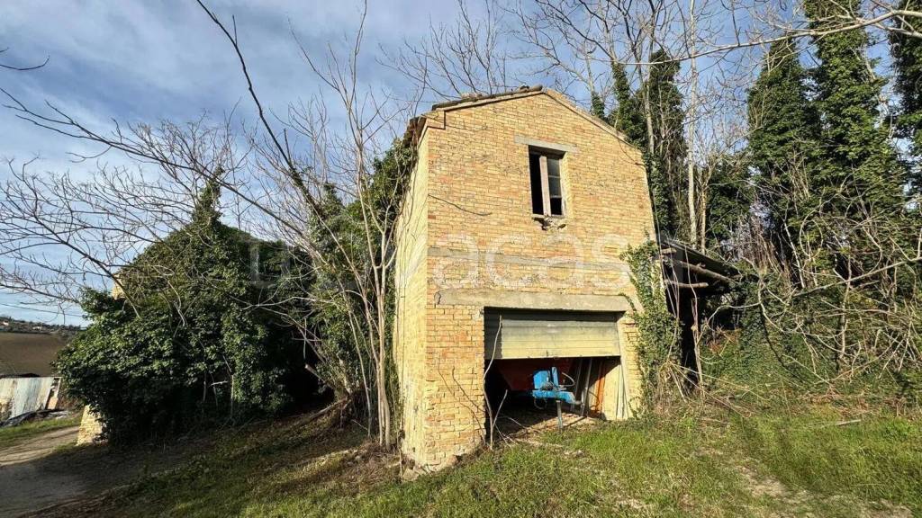 immagine annuncio 9 di 13