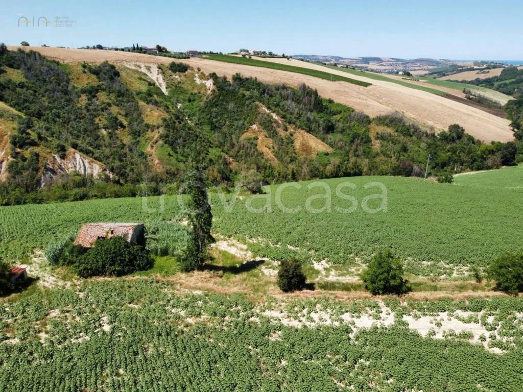 immagine annuncio 2 di 8