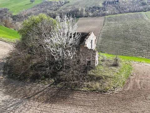 immagine annuncio 5 di 14