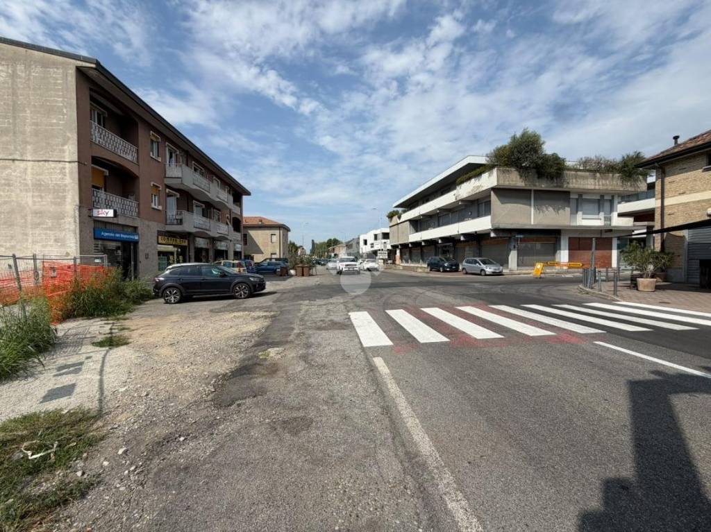 immagine annuncio 12 di 14