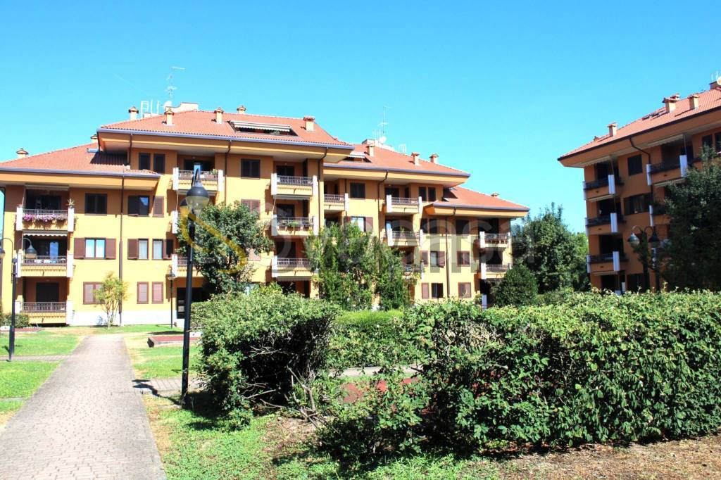 immagine annuncio 10 di 14
