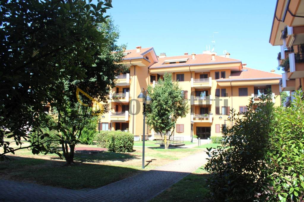 immagine annuncio 12 di 14
