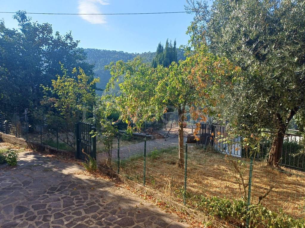 immagine annuncio 6 di 14