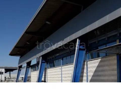 immagine annuncio 2 di 6
