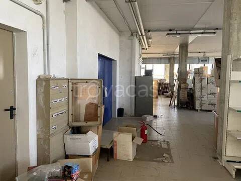 immagine annuncio 3 di 6