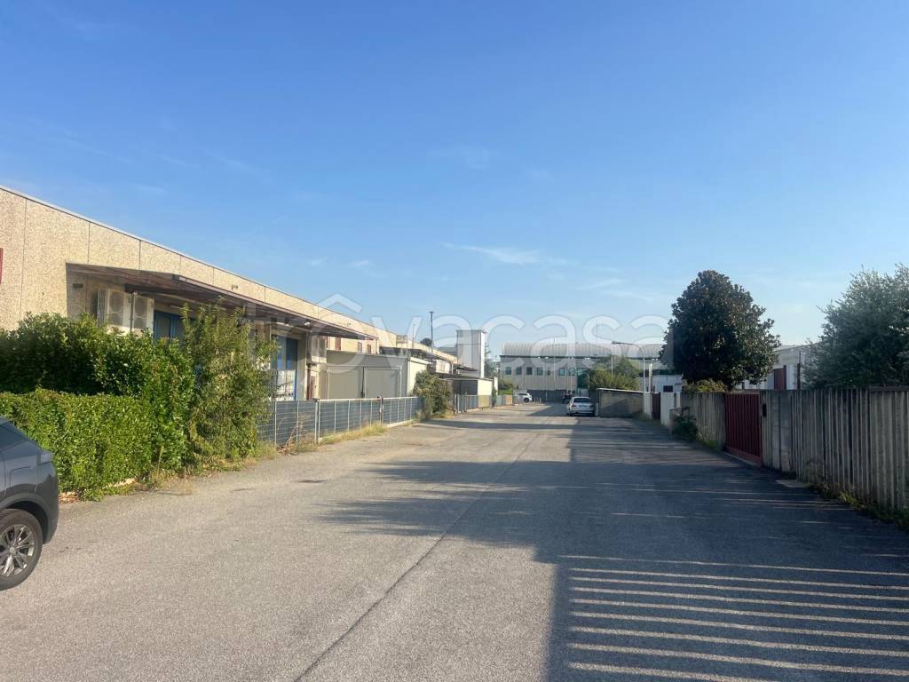 immagine annuncio 5 di 14