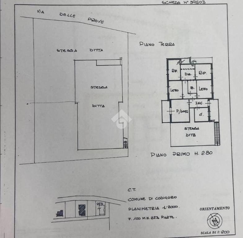 immagine annuncio 2 di 5