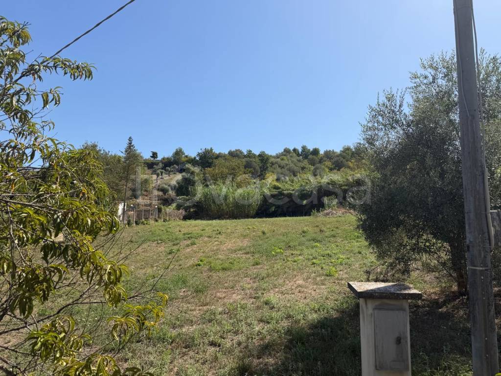immagine annuncio 7 di 9