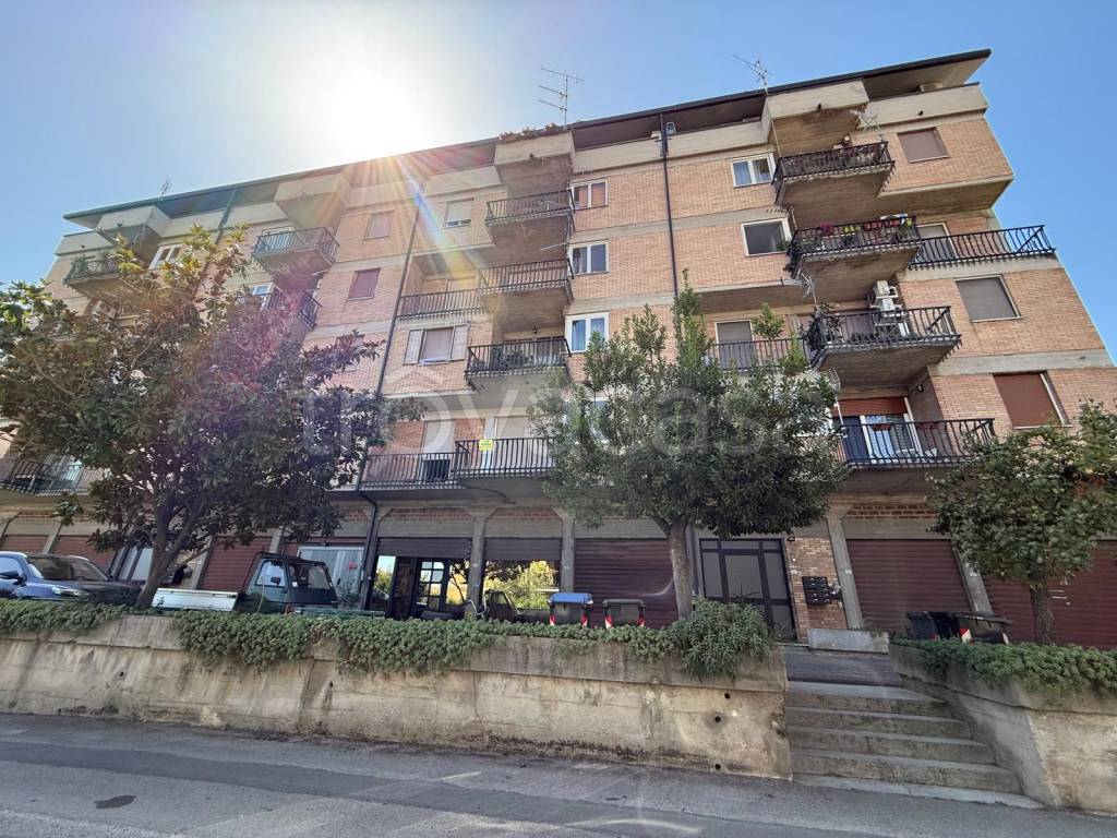 immagine annuncio 1 di 13