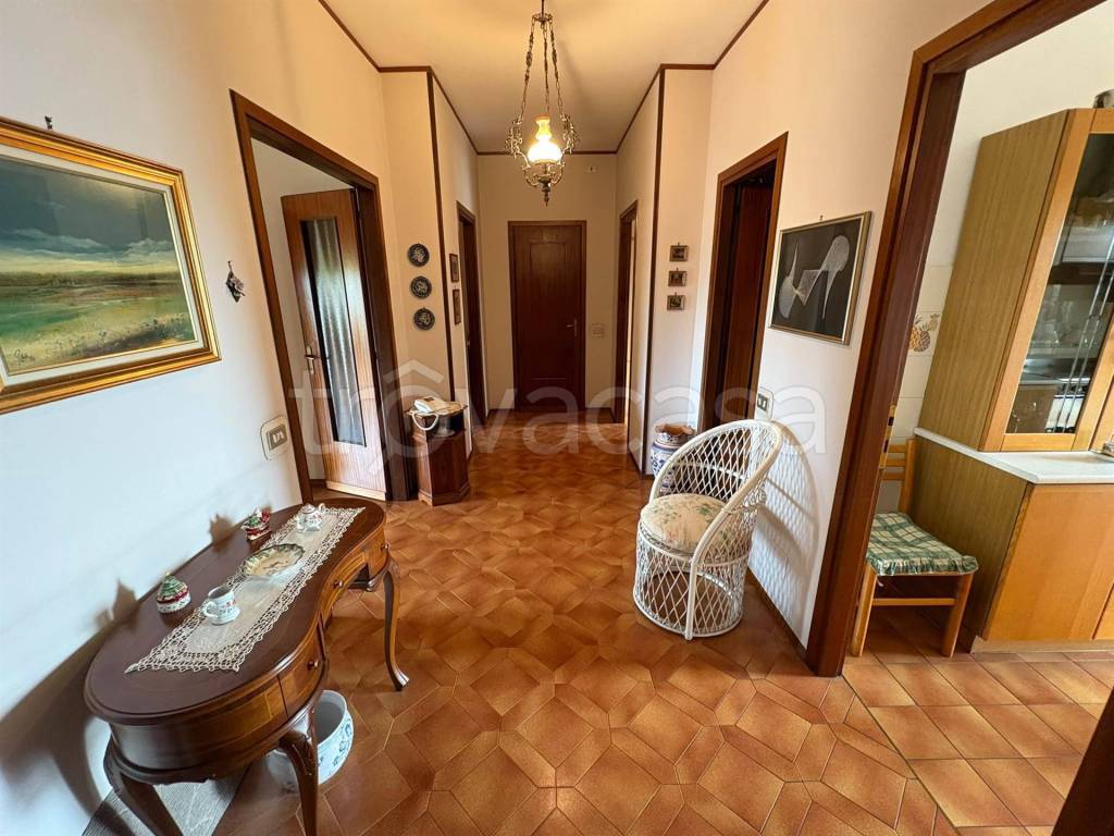 immagine annuncio 9 di 14