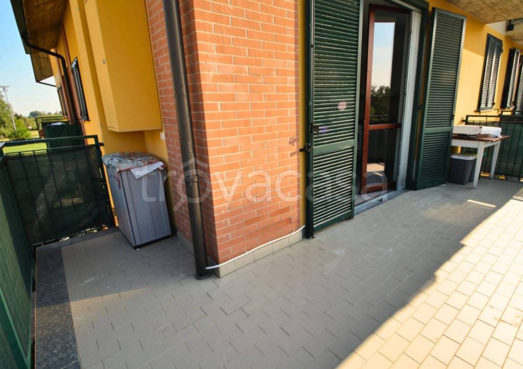 immagine annuncio 9 di 15