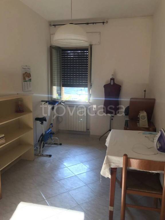 immagine annuncio 2 di 12
