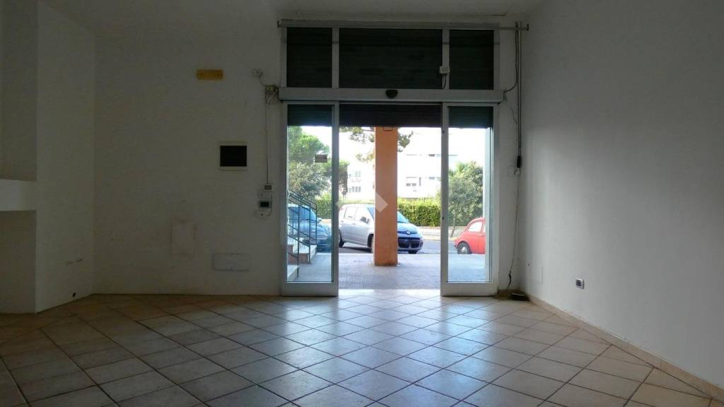 immagine annuncio 6 di 14