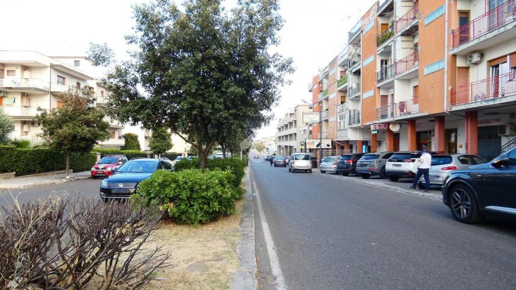 immagine annuncio 12 di 14