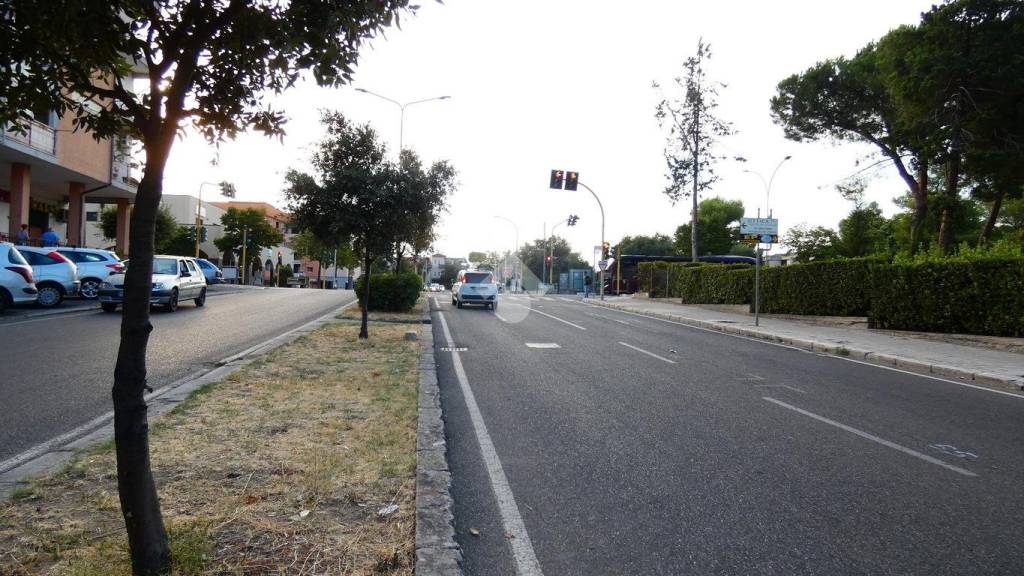 immagine annuncio 13 di 14