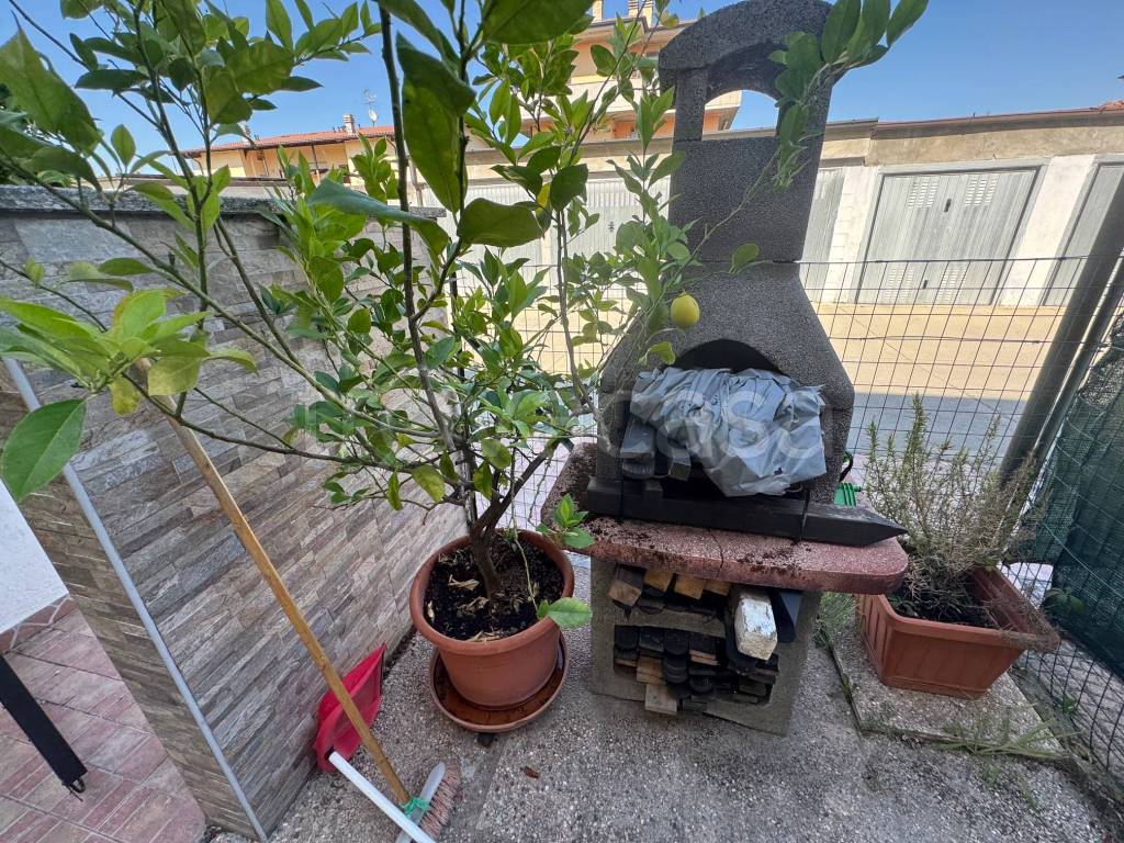immagine annuncio 4 di 15