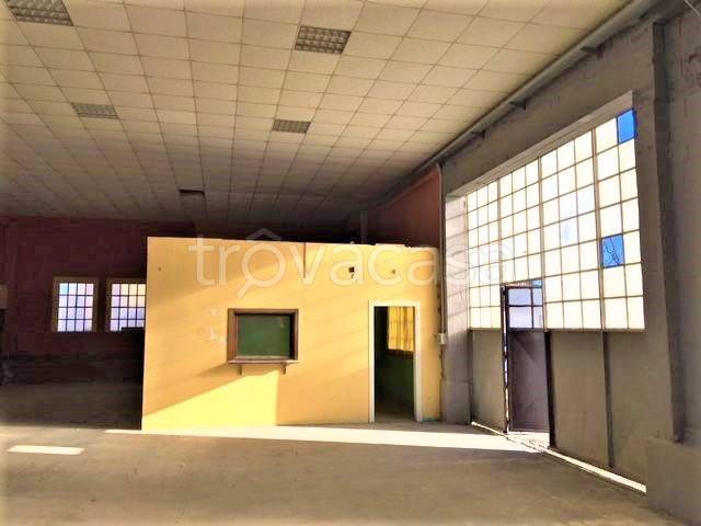 immagine annuncio 7 di 14