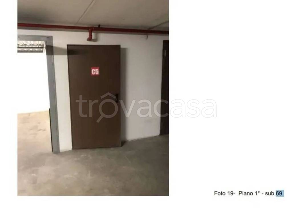 immagine annuncio 1 di 12