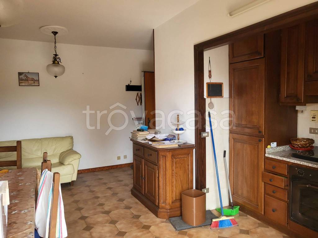 immagine annuncio 3 di 13