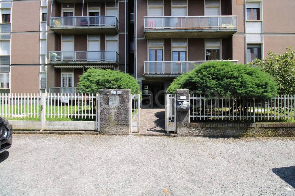 immagine annuncio 4 di 15