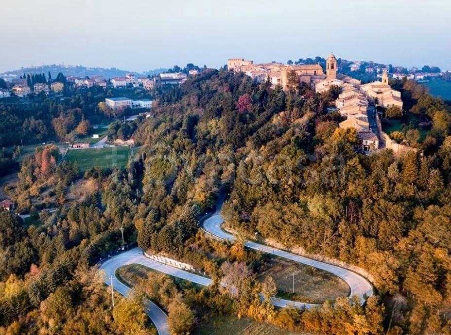 immagine annuncio 10 di 12